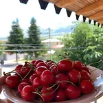 Erseke Apartament